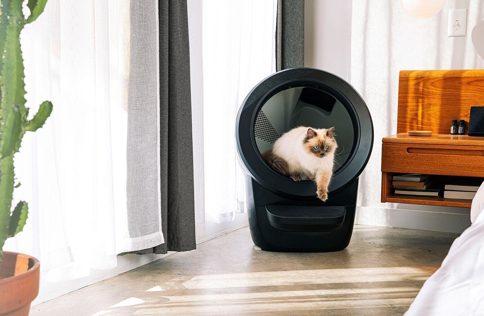 1. Litter-Robot 4